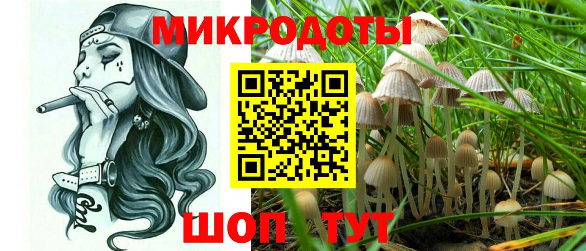 Галлюциногенные грибы Psilocybine cubensis Кингисепп